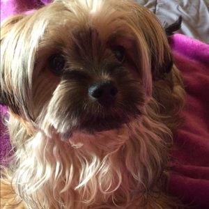 Meet your Posher, Cindy